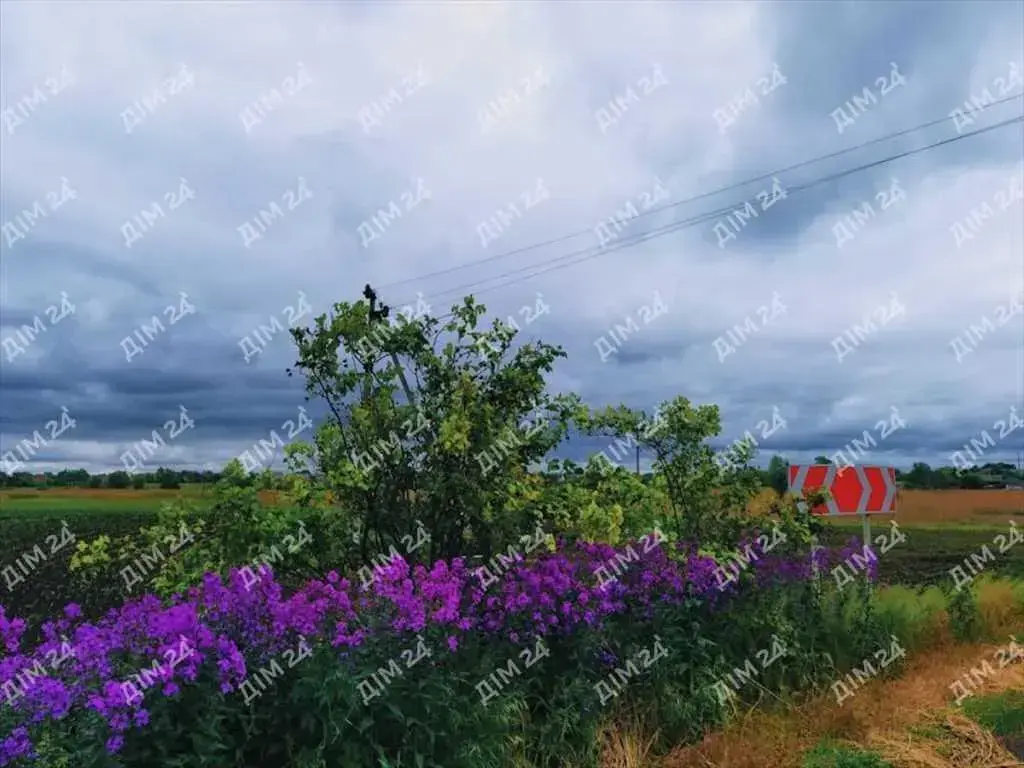 Квартира · 2 кімнати