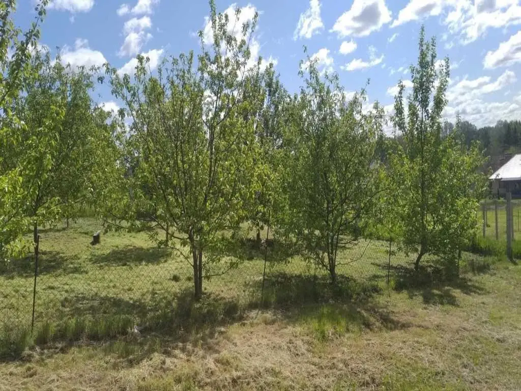 Ділянка — Гавронці