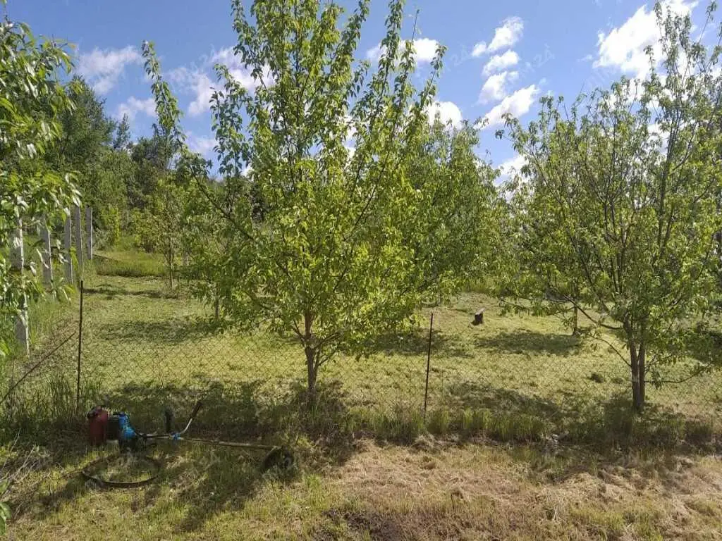 Ділянка — Гавронці