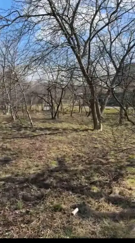 В продажу окремий будинок з ділянкою в селі Гора.Загальна площа 58 м2, 3 кімнати.Світло, газ, центральна вода заведені до будинку.Земельна ділянка 31 сотка, розділений на 2 частини.Великий фруктовий сад, 2 сараї, літня кухня, погріб.Поруч ліс, річка, озера, яри. Дуже мальовнича місцина.В декількох хвилинах ходьби магазин, школа, зупинка транспорту.Телефонуйте за вказаним номером телефону!