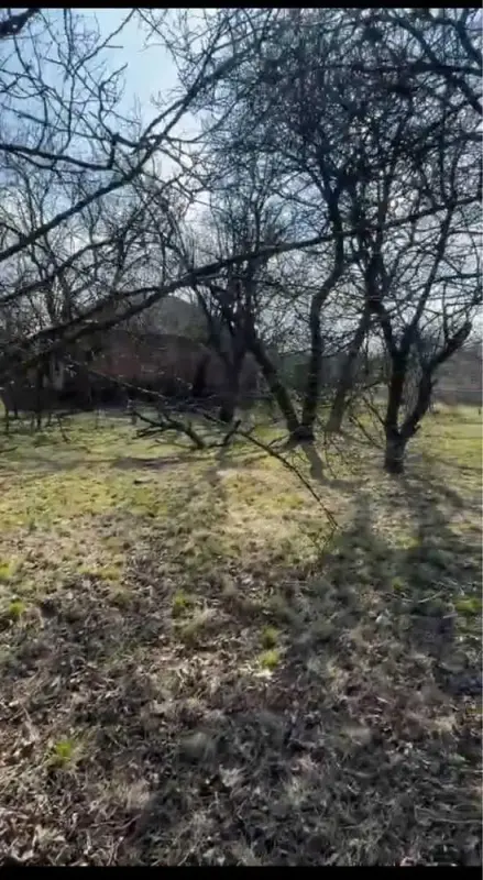 В продажу окремий будинок з ділянкою в селі Гора.Загальна площа 58 м2, 3 кімнати.Світло, газ, центральна вода заведені до будинку.Земельна ділянка 31 сотка, розділений на 2 частини.Великий фруктовий сад, 2 сараї, літня кухня, погріб.Поруч ліс, річка, озера, яри. Дуже мальовнича місцина.В декількох хвилинах ходьби магазин, школа, зупинка транспорту.Телефонуйте за вказаним номером телефону!