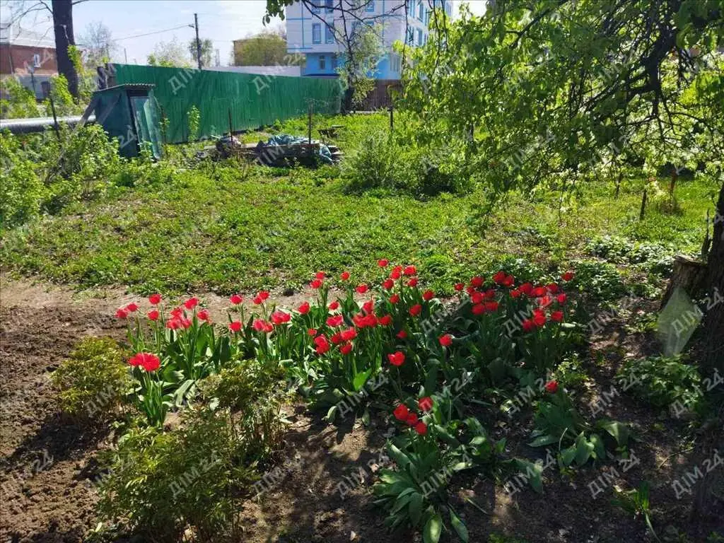 Будинок