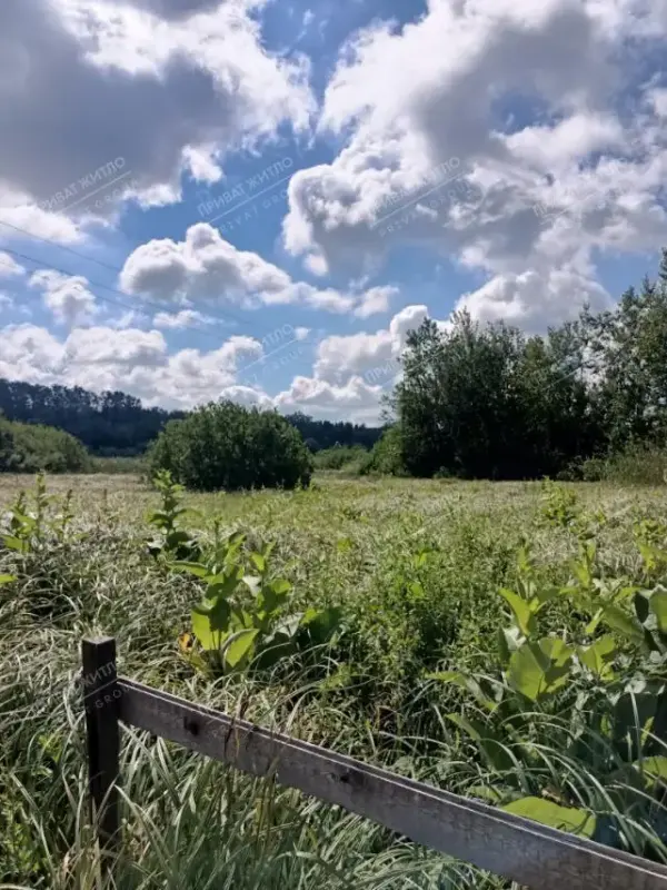 Село Нижні Млини - улюблене місце відпочинку багатьох мешканців Полтави.Місток, дамба, природа навколо Ворскли і тиша - ось що вабить містян у це колоритне передмістя.Пропонуємо придбати земельну ділянку площею 10 соток.Розташовану в центрі села всього за 300 метрів від річки.На ділянці підключена електроенергія, встановлено лічильник, дозволена &nbsp;потужність споживання 15 кВт.Газ і водопостачання знаходяться &nbsp;поруч.Вам залишилося лише прийняти рішення про те, що ви хочете жити саме тут, насолоджуючись чудовими краєвидами і затишком сільського життя. `Телефонуйте, я знаю всі деталі продажу!