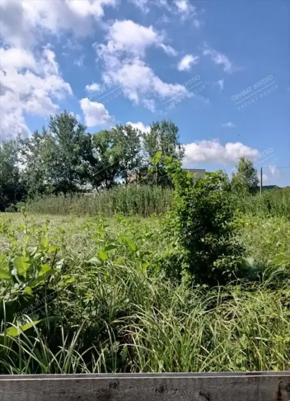 Село Нижні Млини - улюблене місце відпочинку багатьох мешканців Полтави.Місток, дамба, природа навколо Ворскли і тиша - ось що вабить містян у це колоритне передмістя.Пропонуємо придбати земельну ділянку площею 10 соток.Розташовану в центрі села всього за 300 метрів від річки.На ділянці підключена електроенергія, встановлено лічильник, дозволена &nbsp;потужність споживання 15 кВт.Газ і водопостачання знаходяться &nbsp;поруч.Вам залишилося лише прийняти рішення про те, що ви хочете жити саме тут, насолоджуючись чудовими краєвидами і затишком сільського життя. `Телефонуйте, я знаю всі деталі продажу!