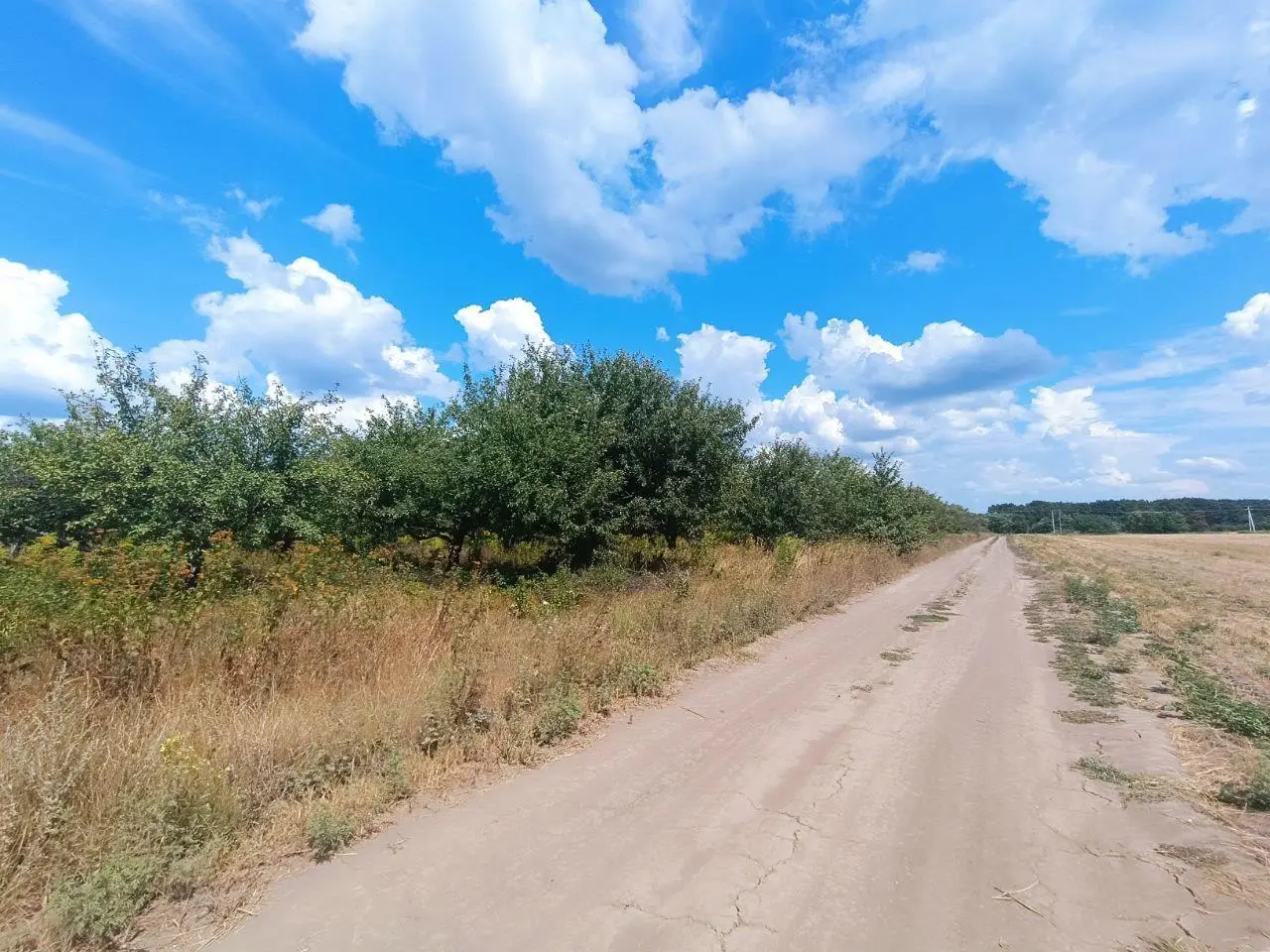 Ділянка — Щербані