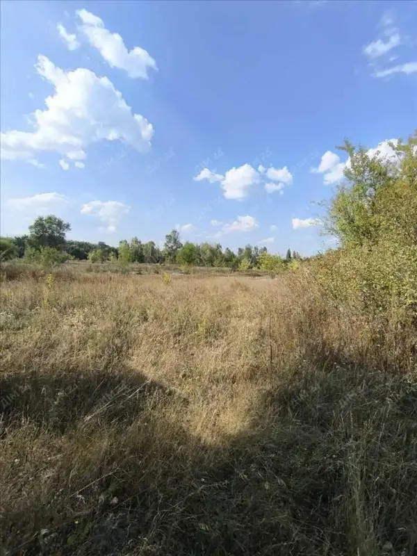 Презентуємо ділянку в садовому товаристві поруч с.Терентіївка.* Площа 10 соток;* присвоєний кадастровий номер;* правильної прямокутної форми;* на території розташована компактна цегляна побудова для відпочинку та інвентаря;* під`їзд грунтовий.  &nbsp;&nbsp;Насолоджуйтесь природою та відпочинком.