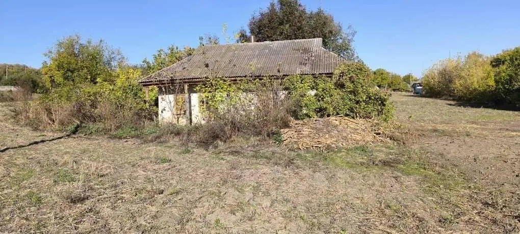Будинок