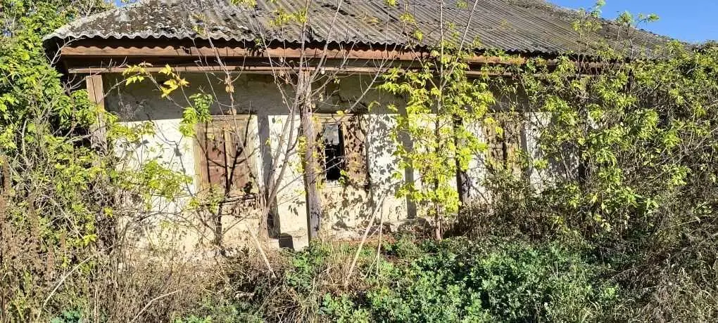 Будинок