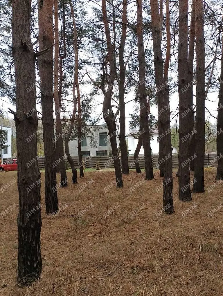 Будинок
