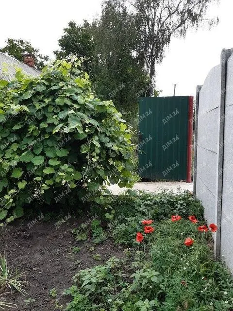 Будинок