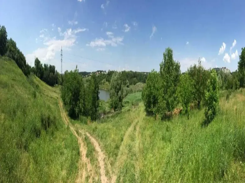 Продається земельна ділянка по вул. Шилівська * Загальна площа - 10 соток;* Цільове призначення - землі житлової та громадської забудови;* Велика площа ділянки дозволить побудувати житловий або дачний будинок;* Земельна ділянка знаходиться на невеликому схилі біля озера;* Комунікації: електрика та газ проходить по вулиці;* Грунтовий під"їзд, гарне розташування - неподалік знаходиться центральна вулиця міста.Якщо вас зацікавила пропозиція ділянки в цій місцевості, звертайтеся за телефоном.