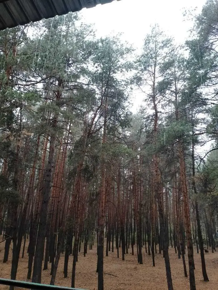 Ділянка — Новоселівка