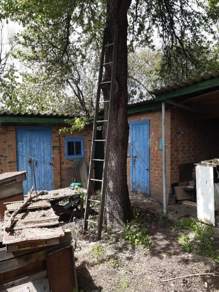 Будинок