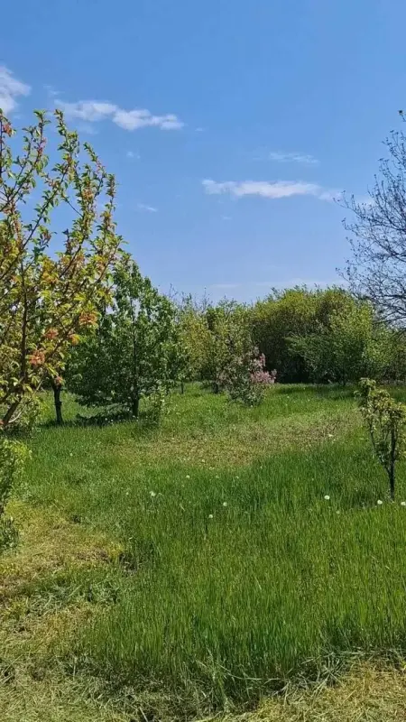 У продажу земельна ділянка з молодим садом в с. Надержинщина - 12 км по хорошій асфальтованій дорозі до міста. Ділянка постійно оброблюється, під"єднано до електромережі, вода зі свердловини. Загальна площа 28 соток, два кадастрових номери, приватизація - призначення для будіництва! На території є не капітальна господарська будівля.Детальна інформація та запис на перегляд за вказаним номером!