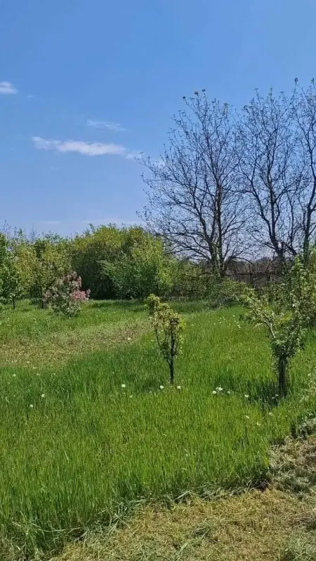 У продажу земельна ділянка з молодим садом в с. Надержинщина - 12 км по хорошій асфальтованій дорозі до міста. Ділянка постійно оброблюється, під"єднано до електромережі, вода зі свердловини. Загальна площа 28 соток, два кадастрових номери, приватизація - призначення для будіництва! На території є не капітальна господарська будівля.Детальна інформація та запис на перегляд за вказаним номером!