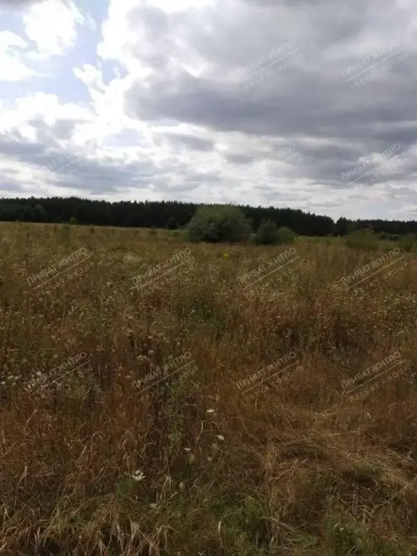 Продається чудова земельна ділянка 12 соток у мальовничому селі Верхоли. Цільове призначення: під садівництво.Але це ще не все! Ділянка розташована в безпосередній близькості до лісу, що гарантує вам:мальовничі краєвиди та чисте, свіже повітря;спокій та тишу, поруч лише природа;можливість насолоджуватися прогулянками лісом, збирати гриби та ягоди.Телефонуйте зараз, щоб дізнатися більше.