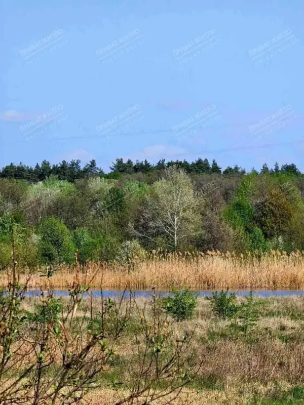 Продається земельна ділянка в Ліску.10 соток під забудову на березі річки Коломак.На ділянці є власна копанка.Комунікації (газ, світло, вода) по вулиці.Ідеальне місце для будівництва вашого заміського будинку мрії з власним виходом до річки!Телефонуйте просто зараз та дізнайтеся більше!