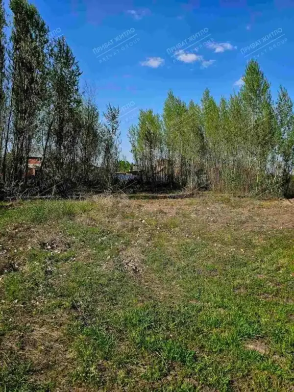 Продається земельна ділянка в Ліску.10 соток під забудову на березі річки Коломак.На ділянці є власна копанка.Комунікації (газ, світло, вода) по вулиці.Ідеальне місце для будівництва вашого заміського будинку мрії з власним виходом до річки!Телефонуйте просто зараз та дізнайтеся більше!