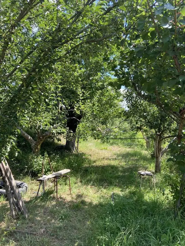 Ділянка — Розсошенці