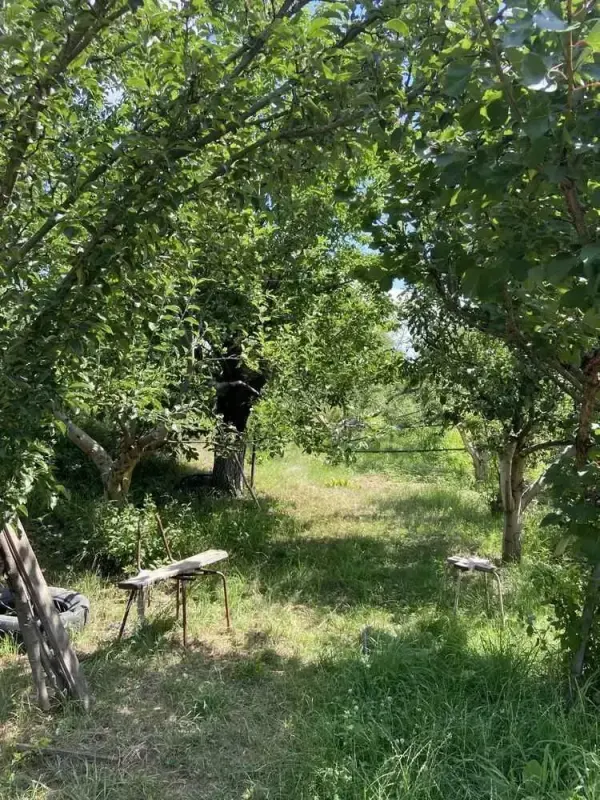 Продається чудова ділянка площею 7 соток, ідеальна для будівництва вашого дому мрії.Локація - справжня знахідка:- межує з віковим дубовим лісом,- поруч чарівний каскад ставків для риболовлі та відпочинку,- на території - вже посаджено молодий сад, що тільки починає розквітати.Це не просто ділянка - це майбутнє місце сили, спокою і натхнення.До траси Харків-Київ - 5 хвилин!Поряд зупинка "Автовокзал" - зручно для щоденних маршрутів.Торгівельні центри, магазини, інфраструктура -= все поруч!Чисте повітря, тиша, природа і водночас близькість до міста - така комбінація буває рідко.Документи готові. Торг можливий.Зателефонуйте сьогодні - і станьте на крок ближче до мрії!Ви це заслужили.