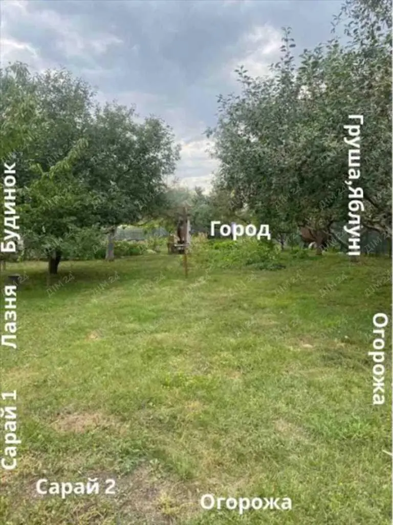 Дача — Рибці