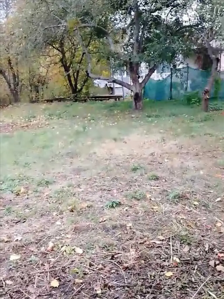 Ділянка — Вороніна / Затишне