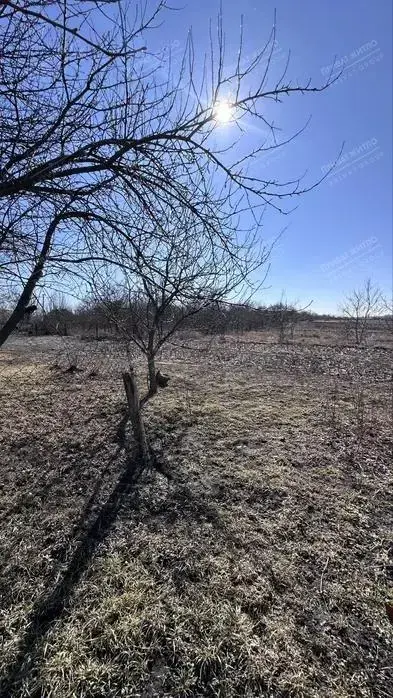 Ділянка