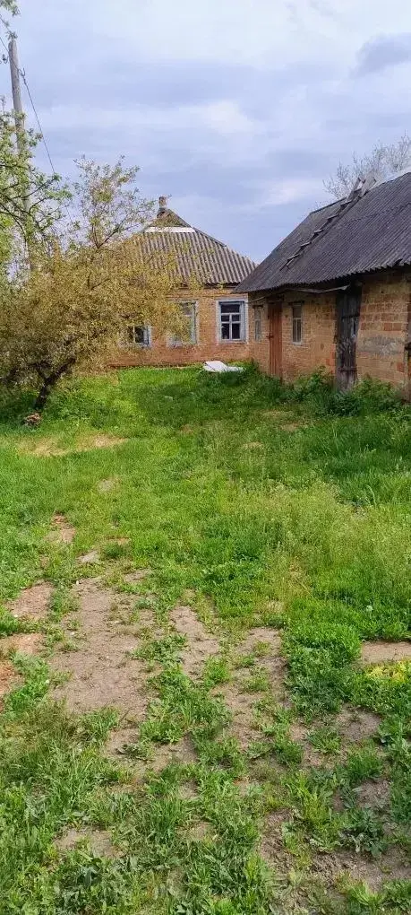 Будинок