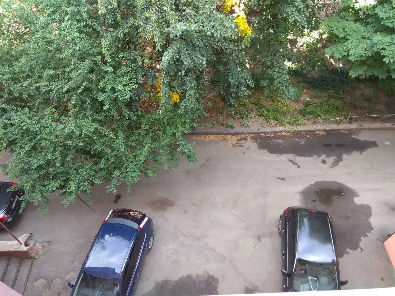 Квартира · 2 кімнати — Центр