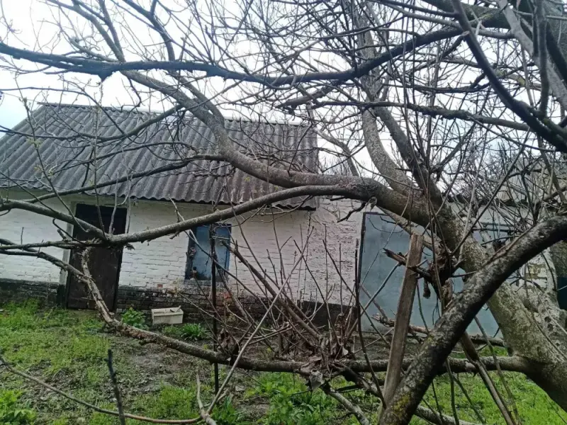 Пропонуємо у продаж будинок в Михайловці, від Полтави за 40 км* Загальна площа 56 кв.м* Три кімнати, та кухня.* Будинок саман обкладений цеглою, теплий в зимку та прохолодний влітку* По кумунікаціям - в будинок заведено світло, газопостачання, централізоване водопостачання. * Земельна ділянка 28 соток приватизована. * Територія огороджена парканом з металопрофілюТелефонуйте, відповім на додаткові питання та організую показ!