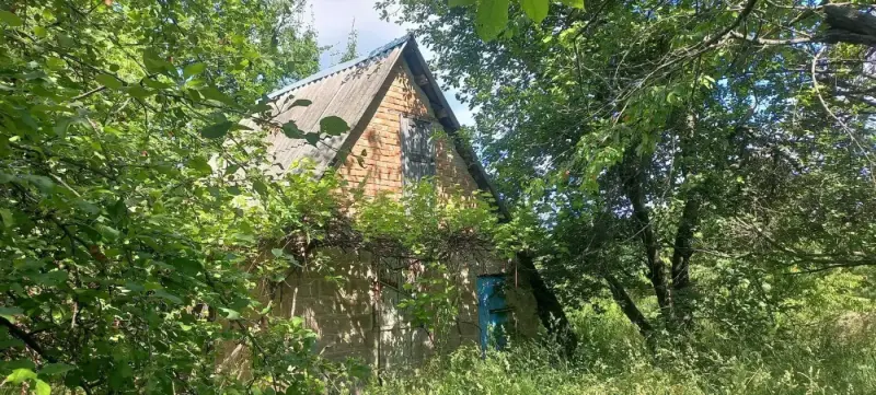 Пропоную доглянуту земельну ділянку -7 соток поряд з Полтавою. Район Малобудищанського заводу, поруч зупинка міського транспорту.На ділянці є господарча будівля, колодезь. Інвестуйте в землю, вона завжди буде в ціні.