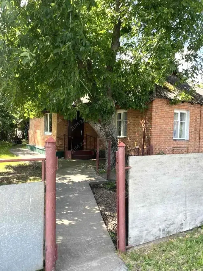 Будинок