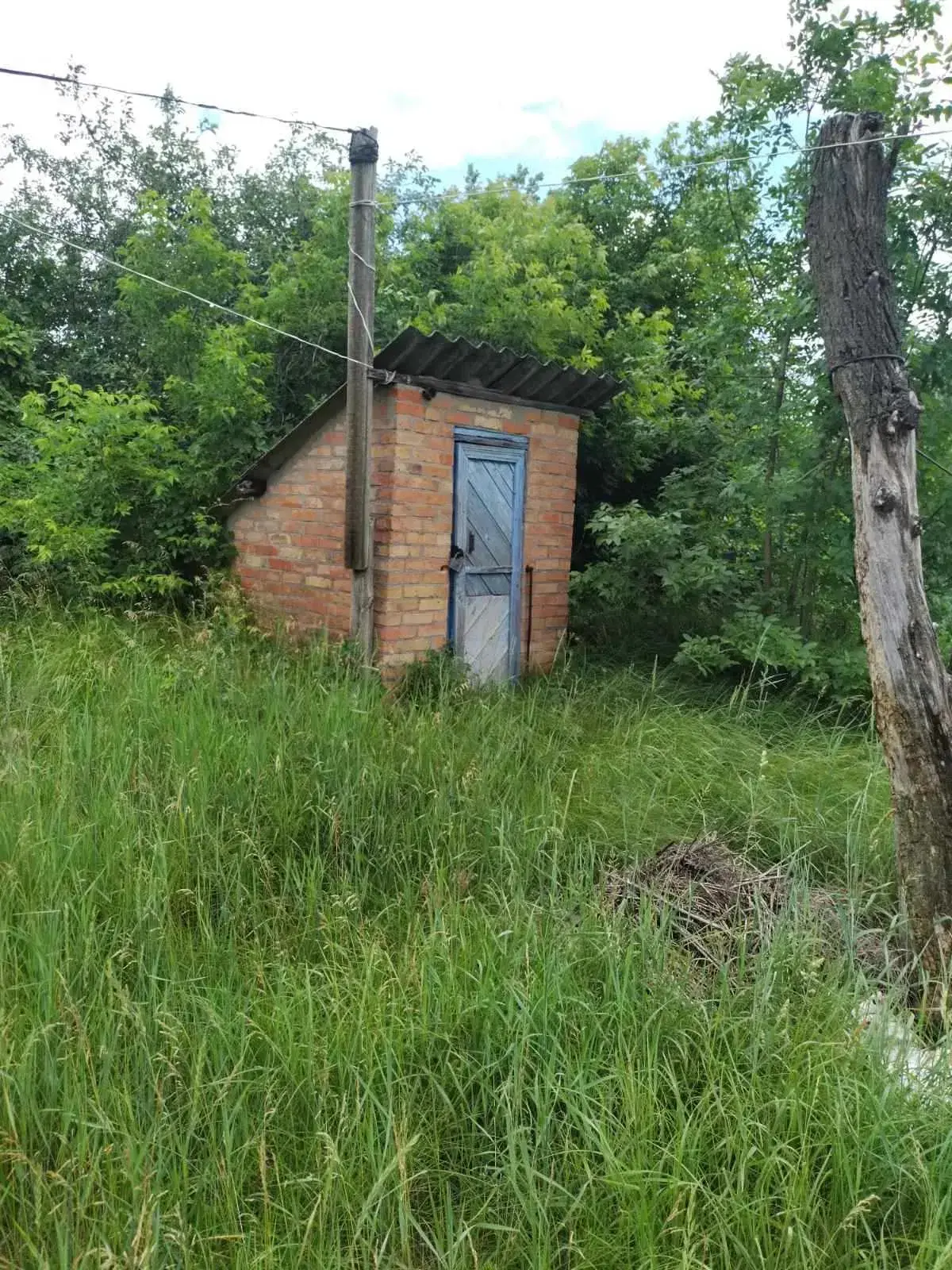 Будинок
