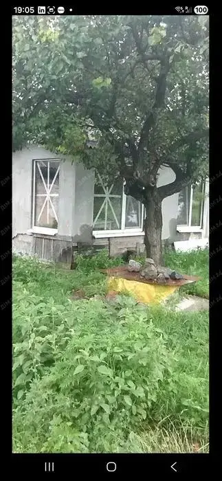 Будинок