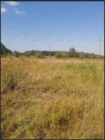 Ділянка