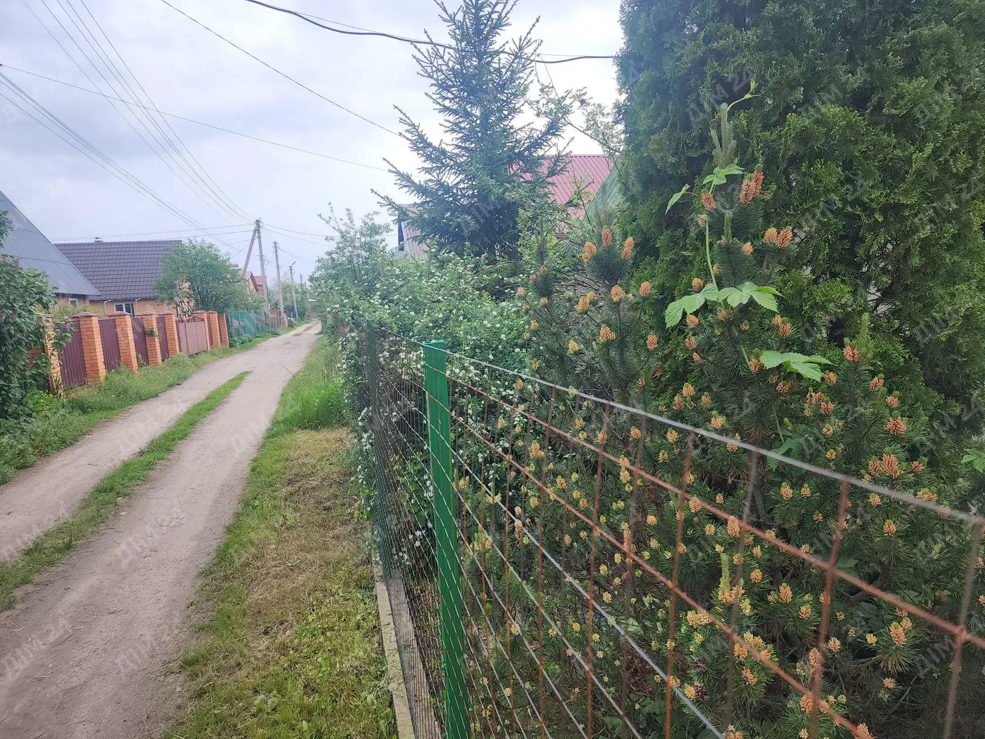 Дача — Вороніна / Затишне