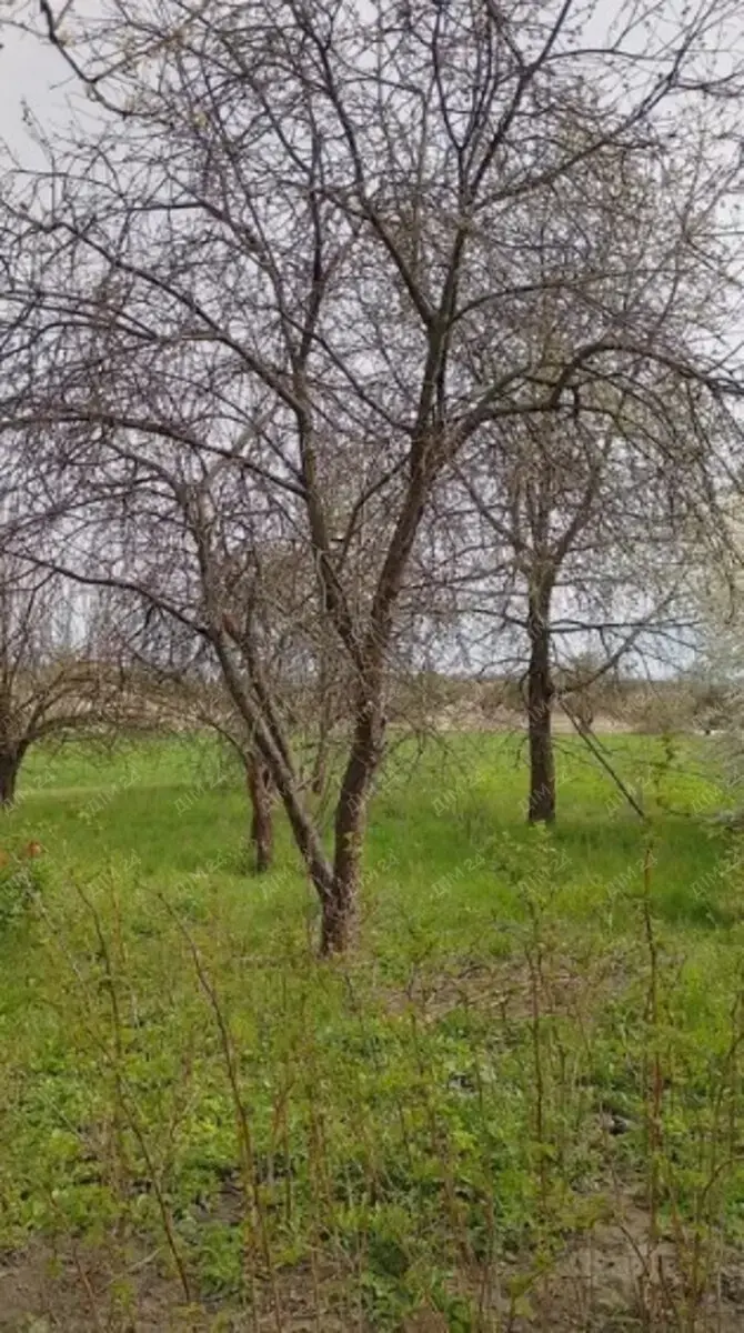 Ділянка — Нижні Вільшани