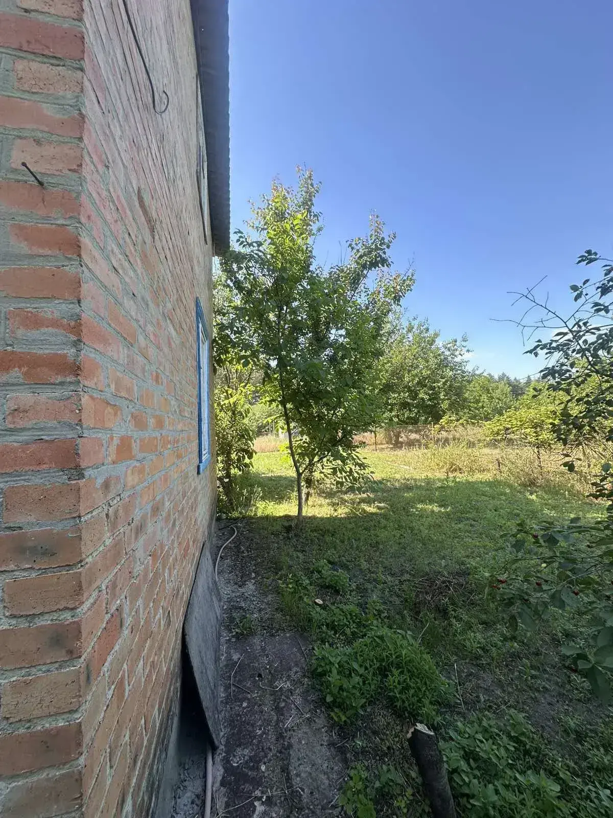 Дача — Їжаківка