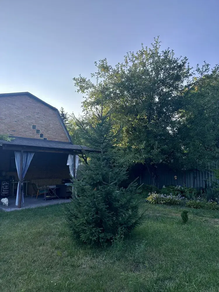 Дача — Вакуленці