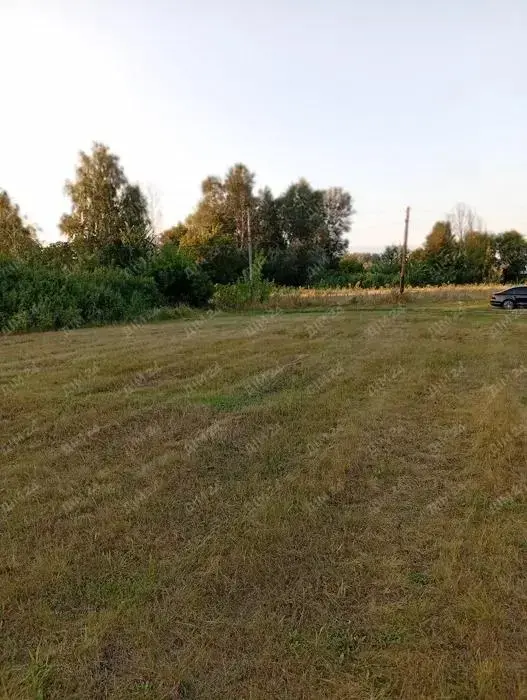 Ділянка