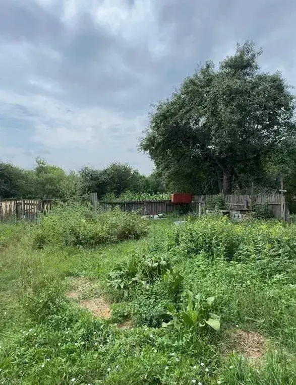 Будинок