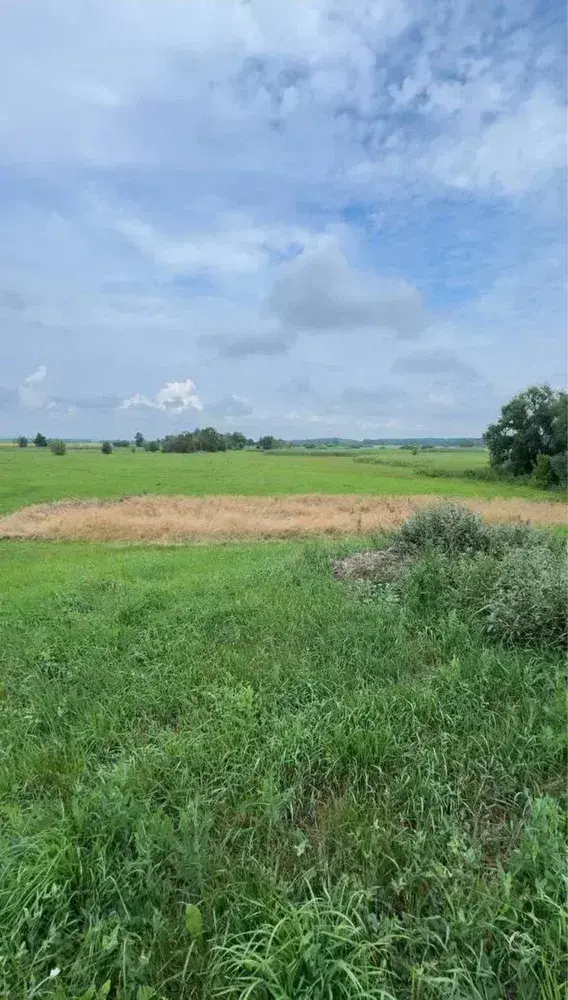 Будинок — Полузір`я