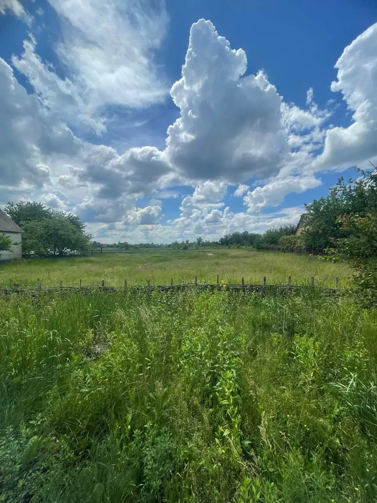 Ділянка