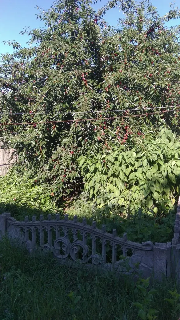 Квартира · 2 кімнати — Нові Санжари