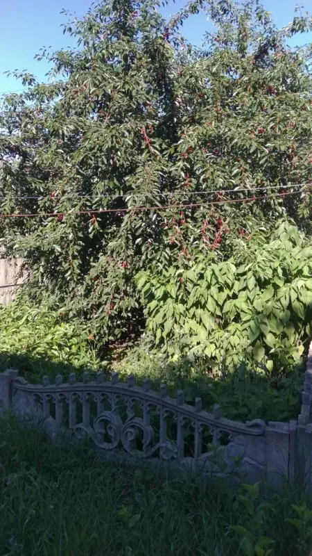 Продається квартира з двома окремими кімнатами та всім необхідним для комфортного проживання.Планування квартири:*Дві кімнати* Коридор* Санвузол суміжний (ванна та туалет разом)* Кухня, поєднана з прихожоюПереваги квартири:-Встановлені пластикові вікна.-Квартира утеплена.-Індивідуальне опалення — підлоговий газовий котел.-Дві окремі вигрібні ями, які перебувають виключно в нашому користуванні.-У кімнаті та коридорі зроблені натяжні стелі.Меблі та побутова техніка:Квартиру можна придбати з меблями та побутовою технікою:* Холодильник* Пральна машина* Газова плита* Кухонні меблі* У спальні — ліжко та стіл* У залі — шафа-купеЗа домовленістю залишимо необхідні меблі та побутову техніку для вашого подальшого користування.Квартира може стати гарним варіантом для тих, хто шукає власне житло з індивідуальним опаленням та необхідними зручностями.Взимку гарно обігрівається, тепла.