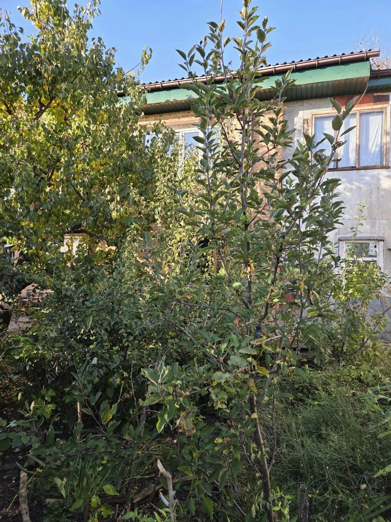 У продажу частина будинку з власним двором - до ЦУМу 5 хвилин пішки! Будинок виведений в одиницю є місце для авто, альтанка та гараж. Хороший стан, три кімнати та велика кухня студія;Документи готові до переоформлення, земля приватизована та присвоєно кадастровий номер!
