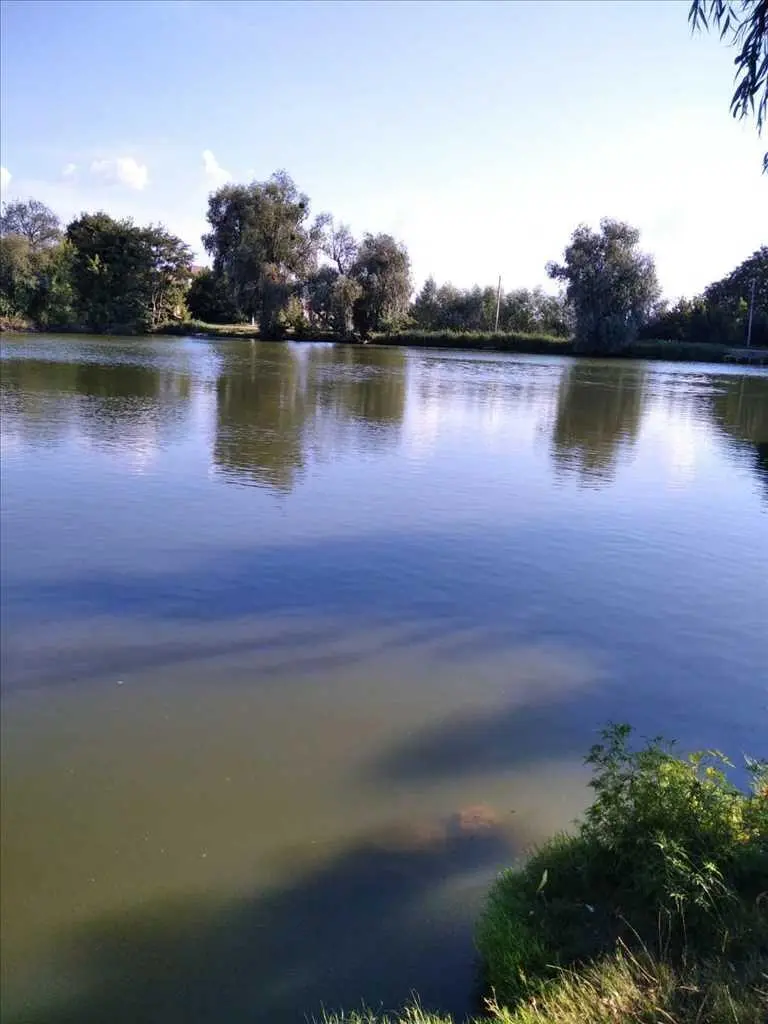 Ділянка — Рибці