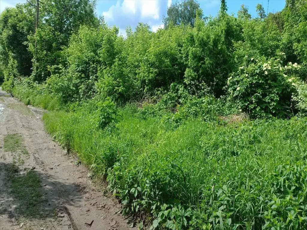 Ділянка — Центр