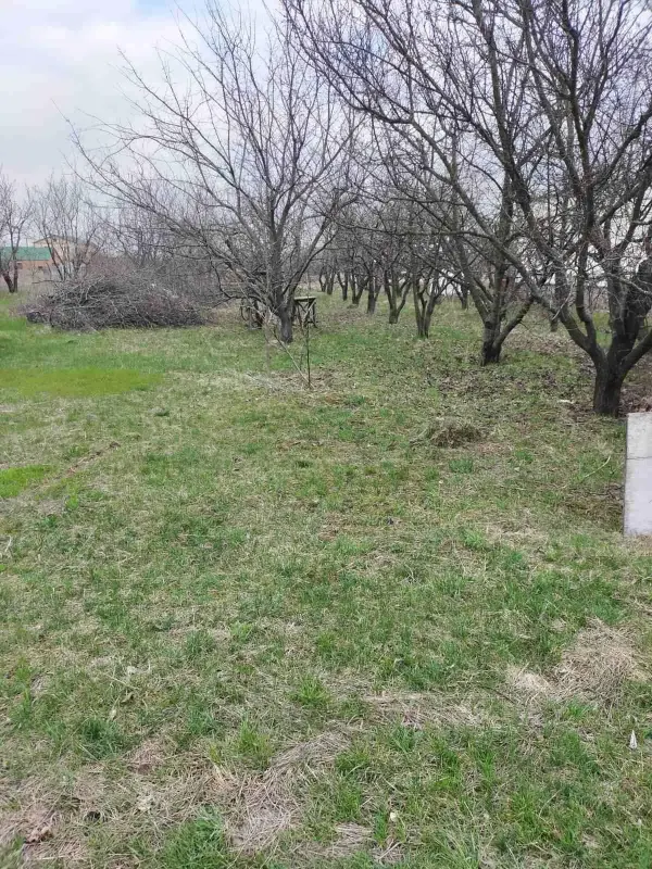 Ділянка