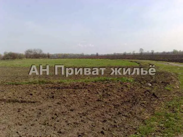 Ділянка — Брунівка